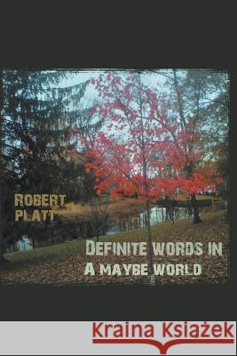 Definite Words in a Maybe World Robert Platt 9781465311399 Xlibris - książka