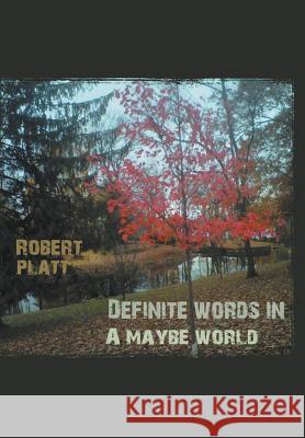 Definite Words in a Maybe World Robert Platt 9781465311405 Xlibris Corporation - książka