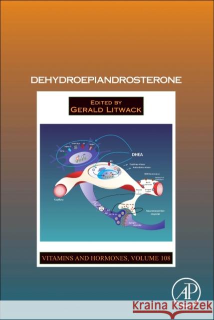 Dehydroepiandrosterone: Volume 108 Litwack, Gerald 9780128143612 Academic Press - książka