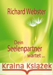 Dein Seelenpartner wartet . . . Webster, Richard   9783898452595 Silberschnur - książka