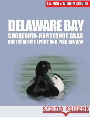 Delaware Bay Shorebird-Horseshoe Crab Assessment Report and Peer Review U S Fish & Wildlife Service 9781507849477 Createspace - książka