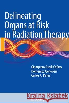 Delineating Organs at Risk in Radiation Therapy Giampiero Ausil Domenico Genovesi Carlos A. Perez 9788847058521 Springer - książka