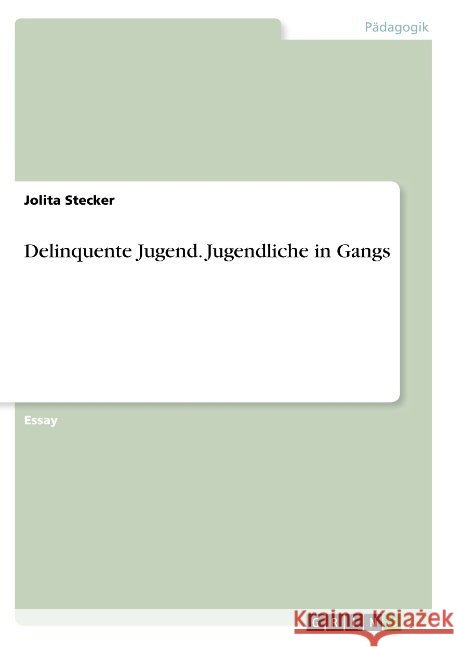 Delinquente Jugend. Jugendliche in Gangs Jolita Stecker 9783668908550 Grin Verlag - książka