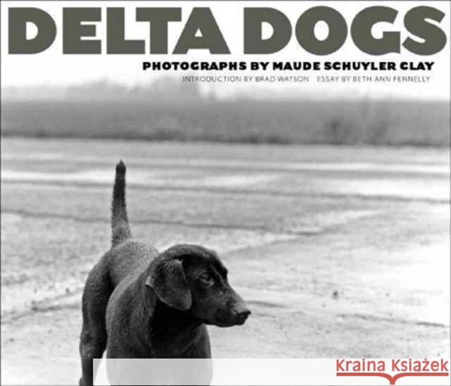 Delta Dogs Maude Schuyler Clay 9781628460087 University Press of Mississippi - książka