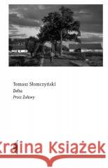 Delta Przez Żuławy Słomczyński Tomasz 9788383961347 CZARNE - książka