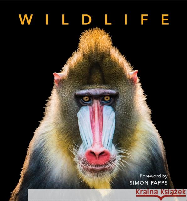 Deluxe Wildlife Foreword by Simon Papps 9781760796358 New Holland Publishers - książka
