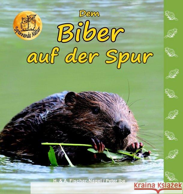 Dem Biber auf der Spur : Bilderbuch Fischer-Nagel, Heiderose 9783930038732 Fischer-Nagel - książka