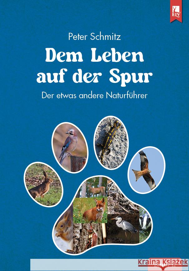 Dem Leben auf der Spur - Band 2 Schmitz, Peter 9783961230815 Mainz Verlagshaus Aachen - książka