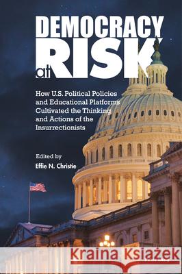 Democracy at Risk  9783034350655 Peter Lang - książka