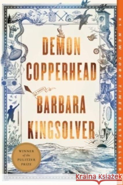 Demon Copperhead: A Novel Barbara Kingsolver 9780063251984 HarperCollins - książka