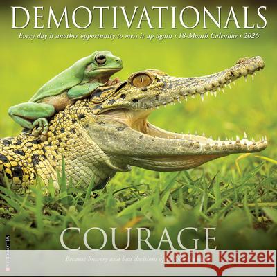 Demotivationals 2026 12 X 12 Wall Calendar Willow Creek Press 9781549250965 Willow Creek Press Calendars - książka