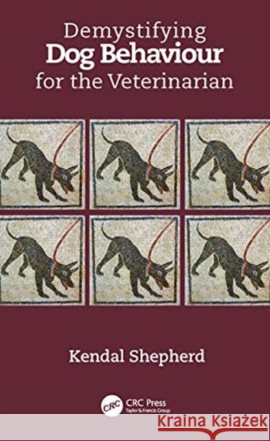 Demystifying Dog Behaviour for the Veterinarian Kendal Shepherd 9780367549916 Taylor & Francis Ltd - książka