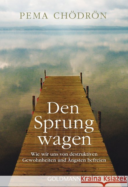 Den Sprung wagen : Wie wir uns von destruktiven Gewohnheiten und Ängsten befreien Chödrön, Pema 9783442220120 Goldmann - książka