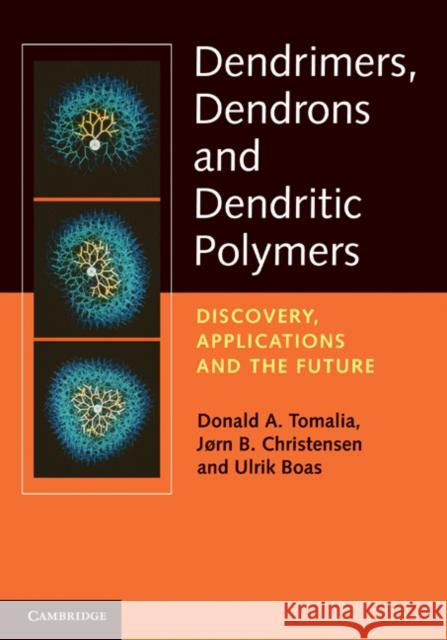 Dendrimers, Dendrons, and Dendritic Polymers: Discovery, Applications, and the Future Tomalia, Donald A. 9780521515801  - książka