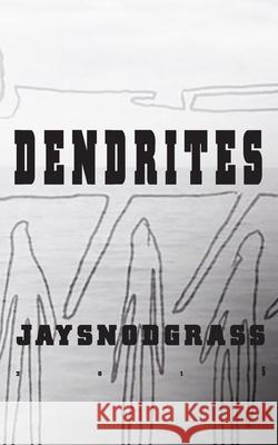 Dendrites Jay Snodgrass 9781508922124 Createspace Independent Publishing Platform - książka