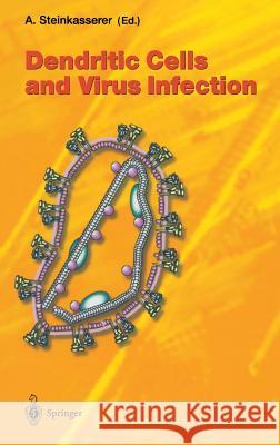 Dendritic Cells and Virus Infection Alexander Steinkasserer A. Steinkasserer Alexander Steinkasserer 9783540442905 Springer Berlin Heidelberg - książka