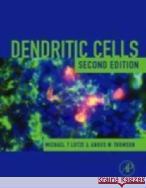 Dendritic Cells: Biology and Clinical Applications Lotze, Michael T. 9780124558519 Academic Press - książka