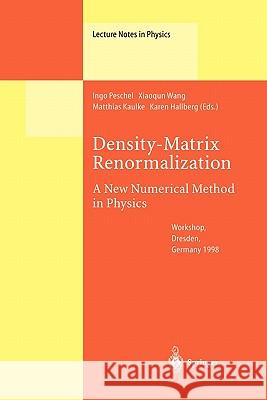 Density-Matrix Renormalization - A New Numerical Method in Physics: Lectures of a Seminar and Workshop Held at the Max-Planck-Institut Für Physik Komp Peschel, Ingo 9783642085413 Springer - książka