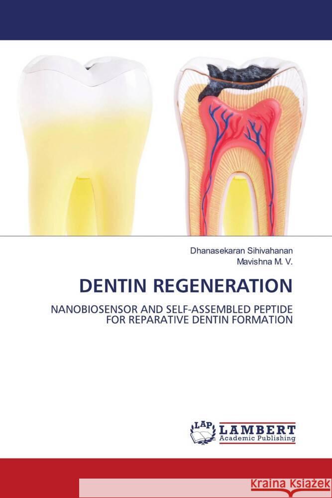 Dentin Regeneration Dhanasekaran Sihivahanan Mavishna M 9783659907708 LAP Lambert Academic Publishing - książka
