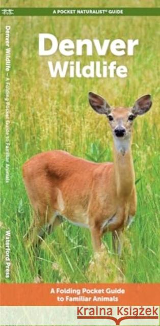 Denver Wildlife: A Folding Pocket Guide to Familiar Animals Waterford Press 9781620057025 Waterford Press - książka
