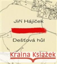 Dešťová hůl Jiří Hájíček 9788074917738 Host - książka