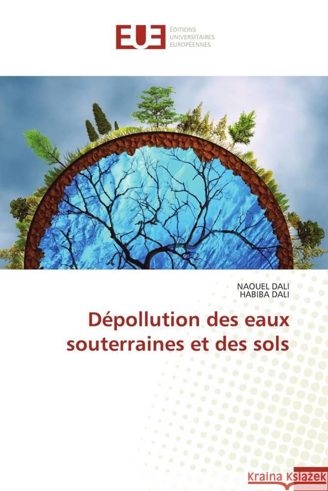 Depollution des eaux souterraines et des sols Naouel Dali Habiba Dali  9786203447361 International Book Market Service Ltd - książka