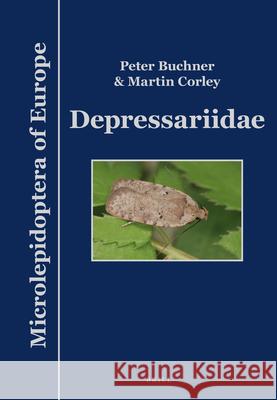 Depressariidae Peter Buchner Martin Corley 9789004412729 Brill - książka