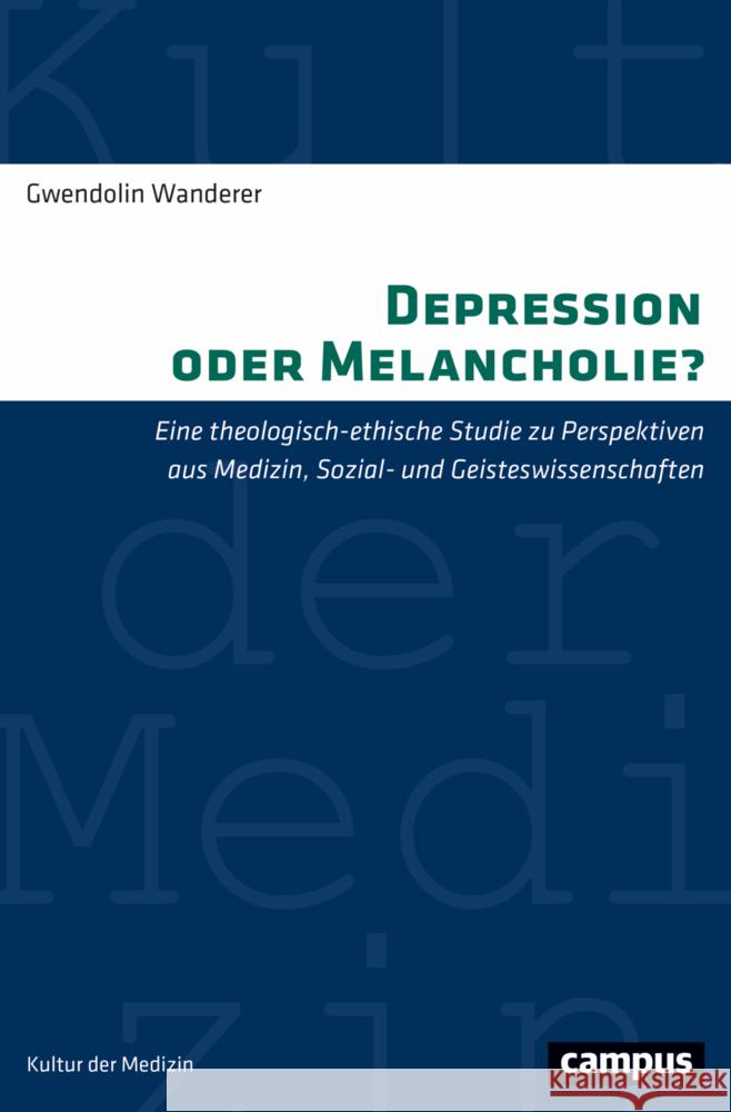 Depression oder Melancholie? Wanderer, Gwendolin 9783593515649 Campus Verlag - książka