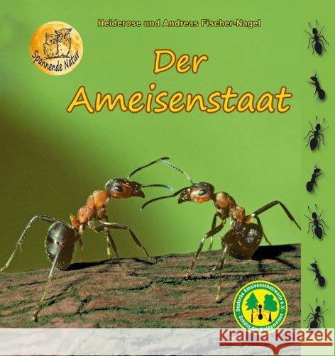 Der Ameisenstaat Fischer-Nagel, Heiderose 9783930038138 Fischer-Nagel - książka