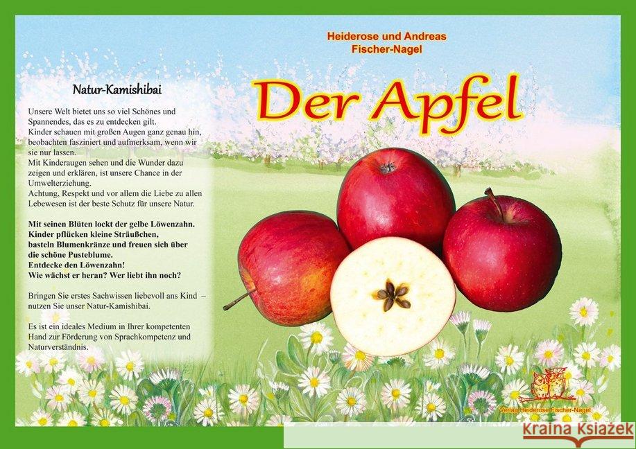 Der Apfel, Natur-Kamishibai Fischer-Nagel, Heiderose; Fischer-Nagel, Andreas 9783930038718 Fischer-Nagel - książka