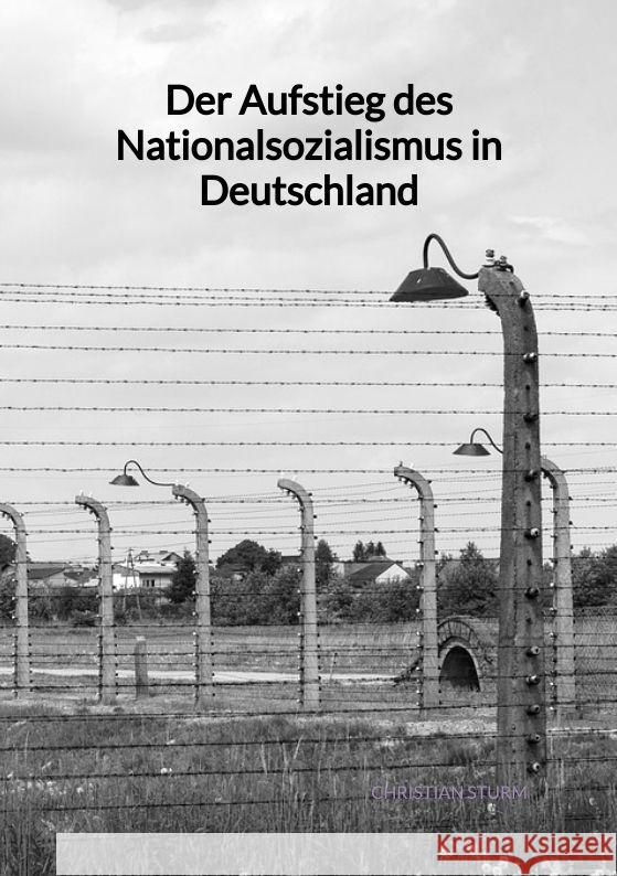 Der Aufstieg des Nationalsozialismus in Deutschland Sturm, Christian 9783347991859 Jaltas Books - książka