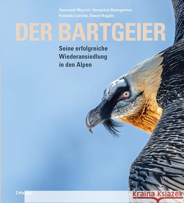 Der Bartgeier Weyrich, Hansruedi, Baumgartner, Hansjakob, Hegglin, Daniel 9783258081922 Haupt - książka