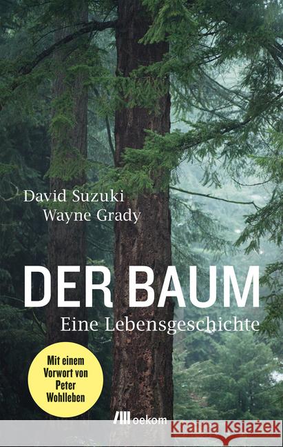 Der Baum : Eine Lebensgeschichte. Vorw. v. Peter Wohlleben Suzuki, David; Grady, Wayne 9783962380229 oekom - książka