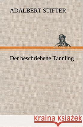 Der beschriebene Tännling Stifter, Adalbert 9783847262107 TREDITION CLASSICS - książka