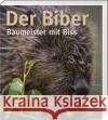 Der Biber Zahner, Volker, Schmidbauer, Markus, Schwab, Gerhard 9783955877934 SüdOst Verlag/Auslfg. Gietl