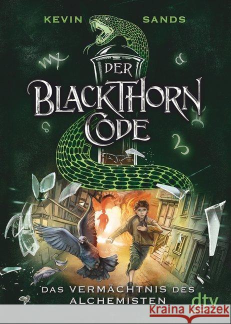 Der Blackthorn-Code - Das Vermächtnis des Alchemisten Sands, Kevin 9783423717854 DTV - książka