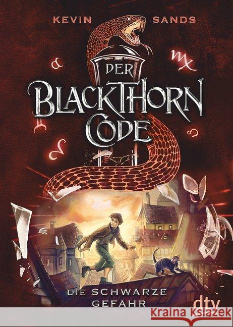 Der Blackthorn-Code - Die schwarze Gefahr Sands, Kevin 9783423718035 DTV - książka