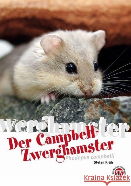 Der Campbell-Zwerghamster : Phodopus campbelli Kräh, Stefan 9783866592445 Natur und Tier-Verlag - książka