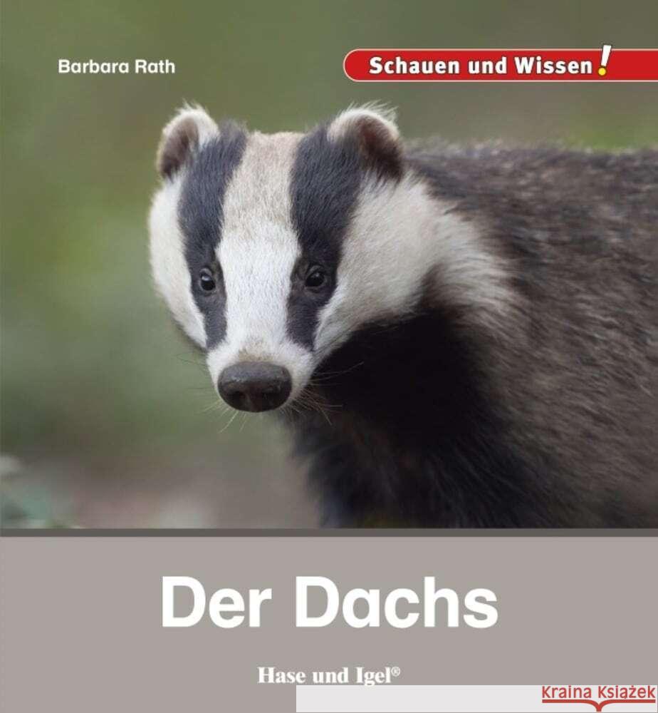 Der Dachs Rath, Barbara 9783863163686 Hase und Igel - książka