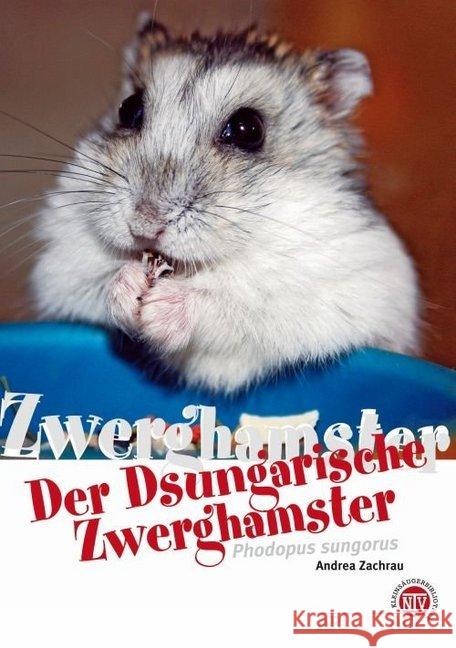 Der Dsungarische Zwerghamster : Phodopus sungorus Zachrau, Andrea 9783866592452 Natur und Tier-Verlag - książka