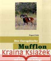 Der Europäische Mufflon Piegert, Holger Uloth, Walter  9783788812577 Neumann-Neudamm - książka