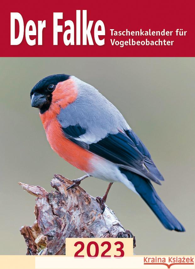 Der Falke-Taschenkalender für Vogelbeobachter 2023  9783891048535 Aula - książka