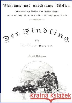 Der Findling Verne, Jules 9783864442049 Salzwasser-Verlag - książka