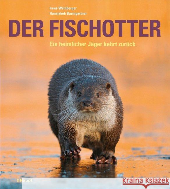 Der Fischotter : Ein heimlicher Jäger kehrt zurück Weinberger, Irene; Baumgartner, Hansjakob 9783258080840 Haupt - książka