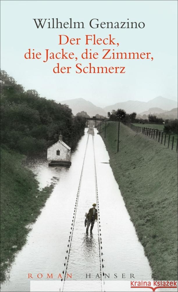 Der Fleck, die Jacke, die Zimmer, der Schmerz Genazino, Wilhelm 9783446276901 Hanser - książka