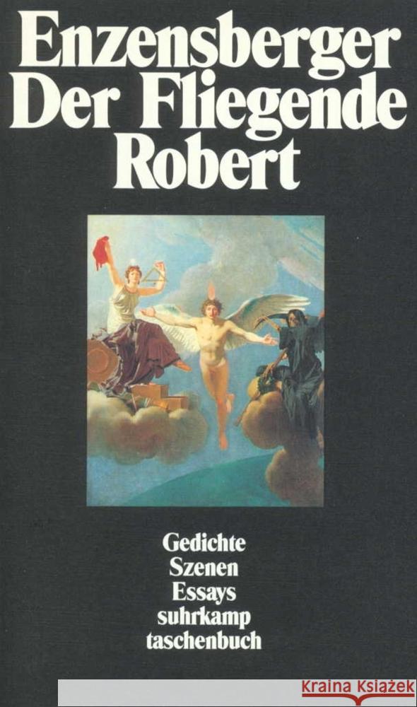 Der Fliegende Robert Enzensberger, Hans Magnus 9783518384626 Suhrkamp Verlag - książka