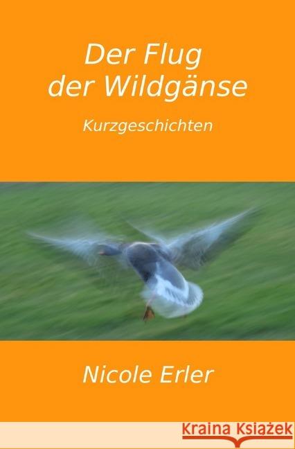 Der Flug der Wildgänse Erler, Nicole 9783748538554 epubli - książka