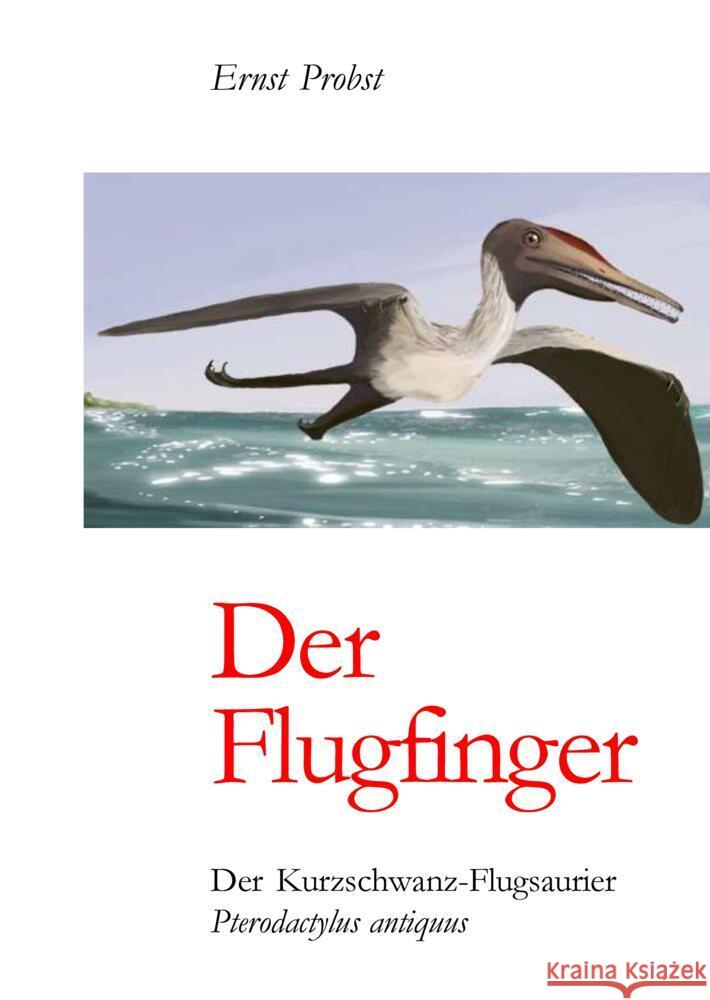 Der Flugfinger Probst, Ernst 9783384535306 tredition - książka