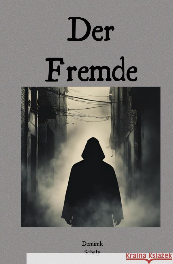 Der Fremde Schaly, Dominik 9783818712013 epubli - książka