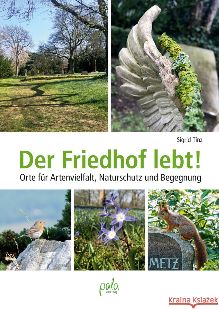 Der Friedhof lebt! Tinz, Sigrid 9783895664137 Pala-Verlag - książka